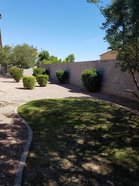 1561 E Lark St, Gilbert, AZ 85297 photo 5