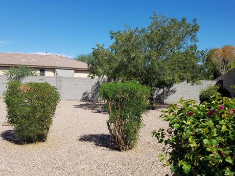1561 E Lark St, Gilbert, AZ 85297 photo 3
