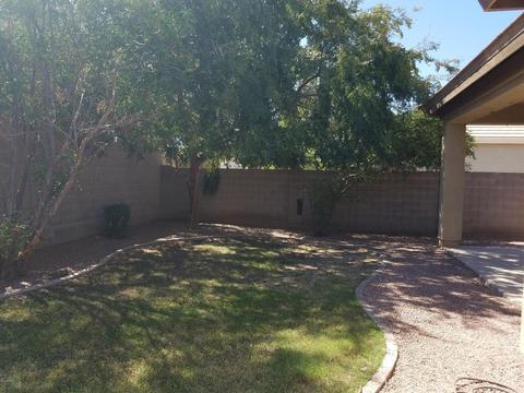 1561 E Lark St, Gilbert, AZ 85297 photo 4