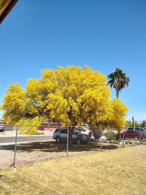 10253 E Jones Ave, Mesa, AZ 85208 photo 5
