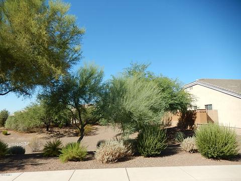 2513 E Barbed Wire Pass, Phoenix, AZ 85024 photo 3