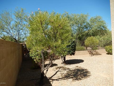 2513 E Barbed Wire Pass, Phoenix, AZ 85024 photo 50