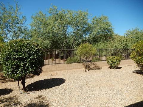 2513 E Barbed Wire Pass, Phoenix, AZ 85024 photo 53