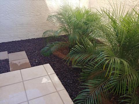 1867 E Sunburst Ln, Tempe, AZ 85284 photo 18