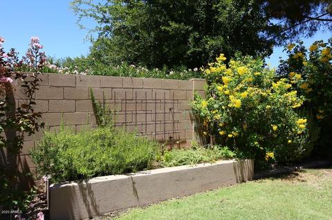 3854 E Cedar Dr, Chandler, AZ 85249 photo 58