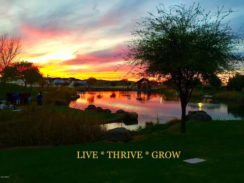 10152 E Stealth Ave, Mesa, AZ 85212 photo 81