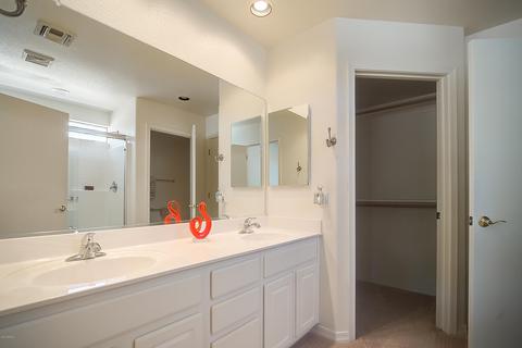 4556 E Sycamore Ct, Gilbert, AZ 85298 photo 23