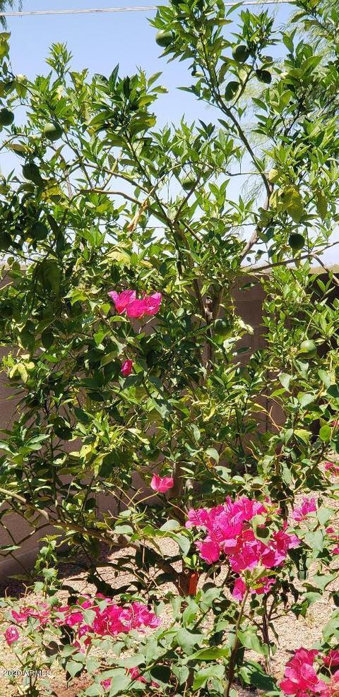 3788 S Descanso Rd, Apache Junction, AZ 85119 photo 16