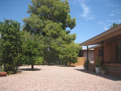 6432 Ellis St, Mesa, AZ 85205 photo 16