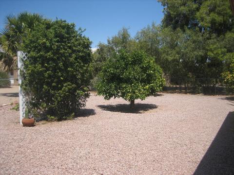 6432 Ellis St, Mesa, AZ 85205 photo 17