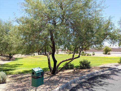 10834 E Azalea Ave, Mesa, AZ 85208 photo 41