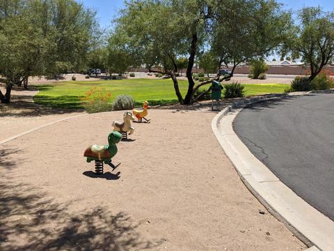 10834 E Azalea Ave, Mesa, AZ 85208 photo 39