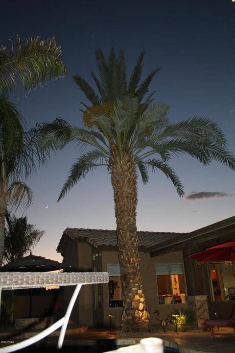1701 E Campbell Ave, Gilbert, AZ 85234 photo 53