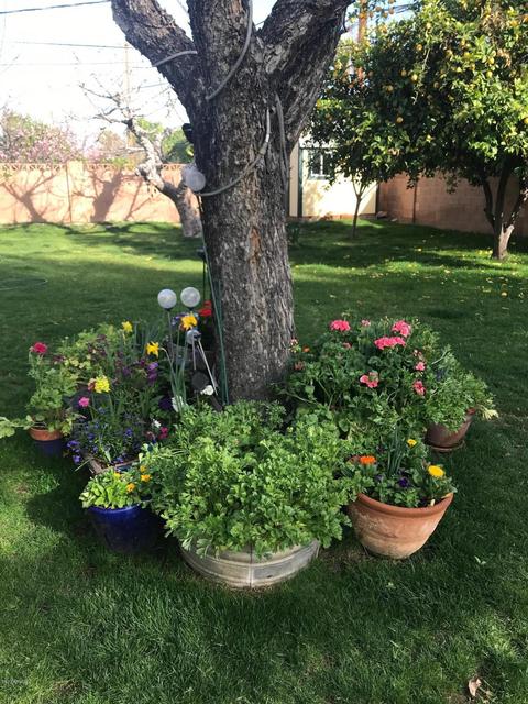 515 W Alice Ave, Phoenix, AZ 85021 photo 26