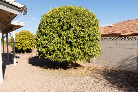 7843 E Navarro Ave, Mesa, AZ 85209 photo 38