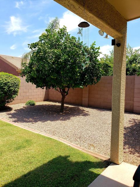 3260 E Jerome Ave, Mesa, AZ 85204 photo 30