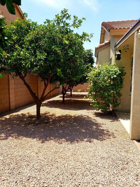 3260 E Jerome Ave, Mesa, AZ 85204 photo 31