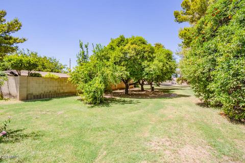 199 E Ray Rd, Gilbert, AZ 85296 photo 13
