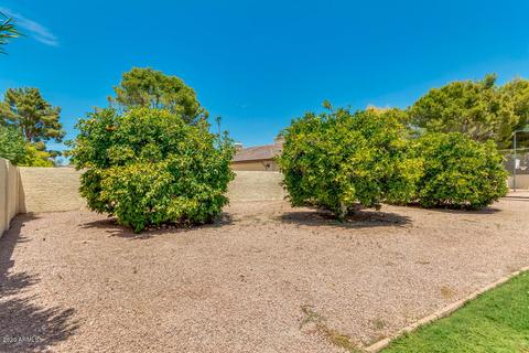 302 E Carver Rd, Tempe, AZ 85284 photo 59
