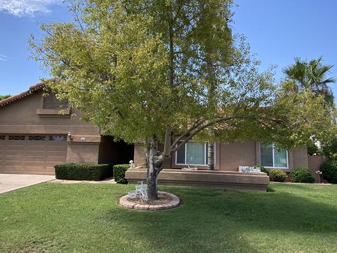 658 E Century Ave, Gilbert, AZ 85296 photo 2