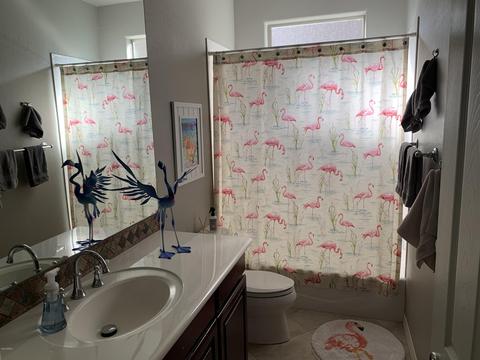 3942 E Daley Ln, Phoenix, AZ 85050 photo 23