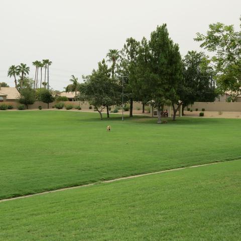 1648 E Heather Ave, Gilbert, AZ 85234 photo 10