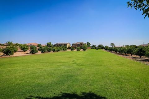 3944 Ellis St, Mesa, AZ 85205 photo 36