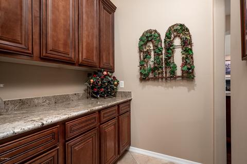 3709 E Bryce Ln, Phoenix, AZ 85050 photo 22