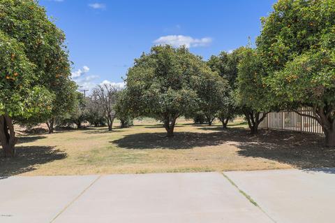 18317 E Victoria St, Gilbert, AZ 85298 photo 17
