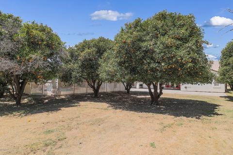 18317 E Victoria St, Gilbert, AZ 85298 photo 19