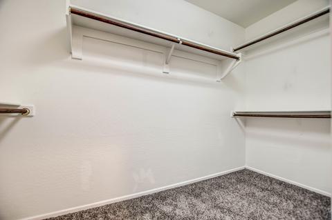 11312 E Starkey Ave, Mesa, AZ 85212 photo 50