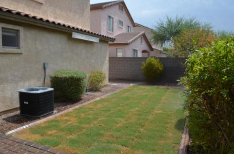 3645 E Warbler Rd, Gilbert, AZ 85297 photo 6