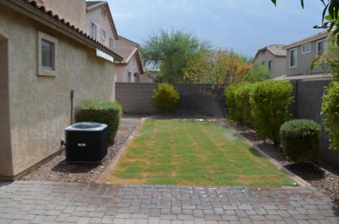 3645 E Warbler Rd, Gilbert, AZ 85297 photo 5