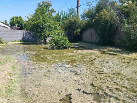 6919 N 10th St, Phoenix, AZ 85014 photo 4
