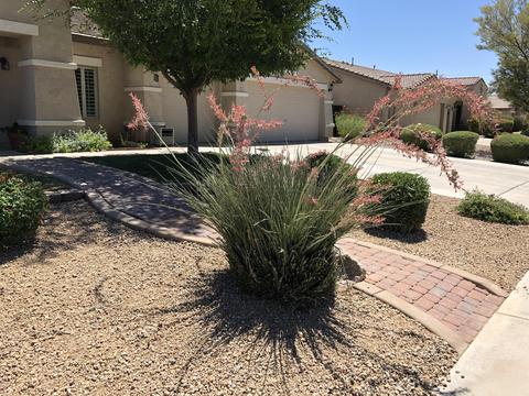 2463 E Tulsa St, Gilbert, AZ 85295 photo 49