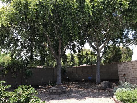 415 E Minton Dr, Tempe, AZ 85282 photo 24