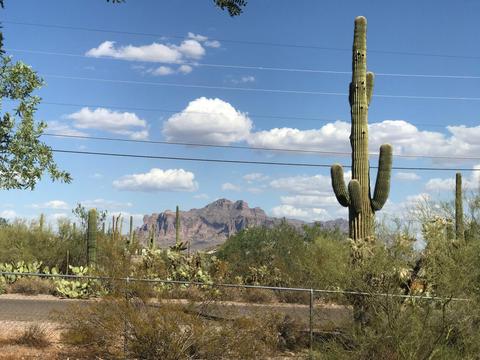 4250 N Warner Dr, Apache Junction, AZ 85120 photo 2