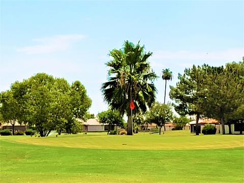 8011 E Lakeview Ave, Mesa, AZ 85209 photo 24