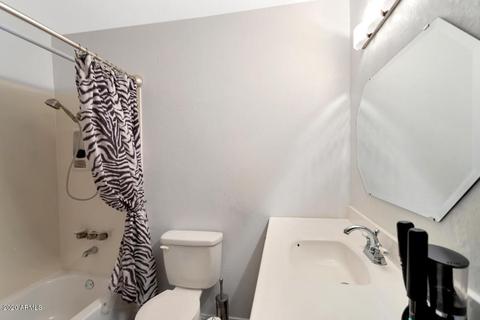 410 E Thunderbird Trl, Phoenix, AZ 85042 photo 25