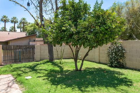 6646 N Central Ave, Phoenix, AZ 85012 photo 28