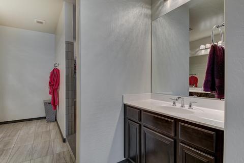 10733 E Sheffield Dr, Mesa, AZ 85212 photo 44