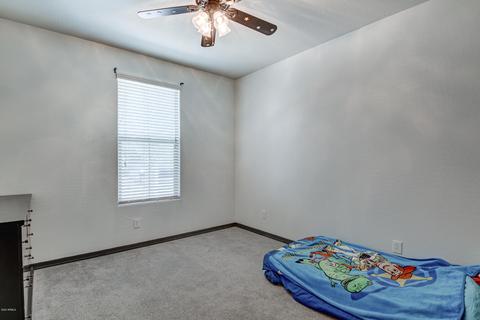 10733 E Sheffield Dr, Mesa, AZ 85212 photo 30