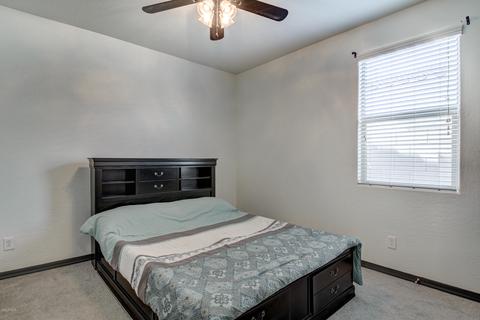 10733 E Sheffield Dr, Mesa, AZ 85212 photo 34