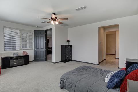 10733 E Sheffield Dr, Mesa, AZ 85212 photo 40
