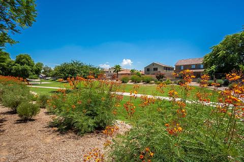 1441 E Chestnut Ln, Gilbert, AZ 85298 photo 51