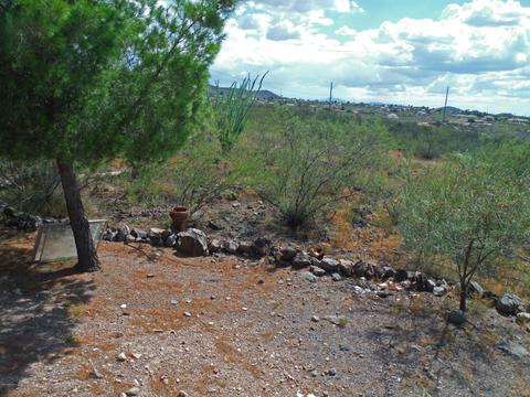 2090 E Gleeson Rd, Tombstone, AZ 85638 photo 40