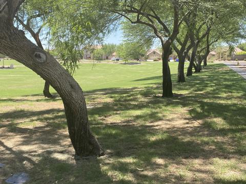 4018 E Ironhorse Rd, Gilbert, AZ 85297 photo 26