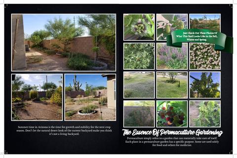 7616 E Kramer St, Mesa, AZ 85207 photo 22