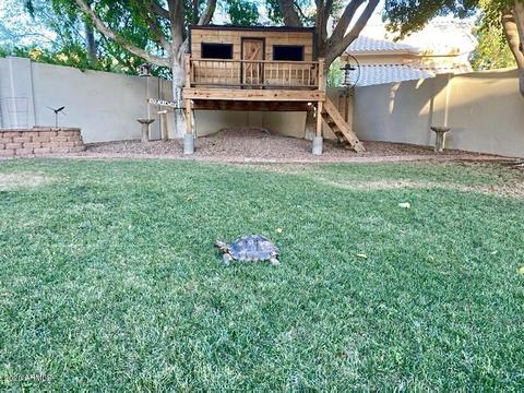 3423 E Granite View Dr, Phoenix, AZ 85044 photo 48