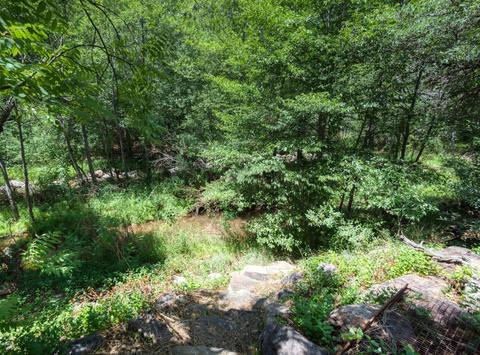 5304 N Bear Flat Rd, Payson, AZ 85541 photo 11
